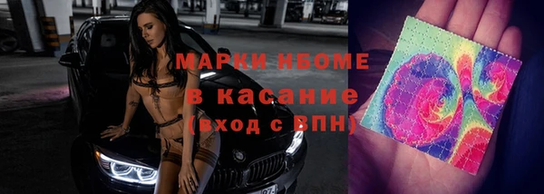 гашик Краснослободск