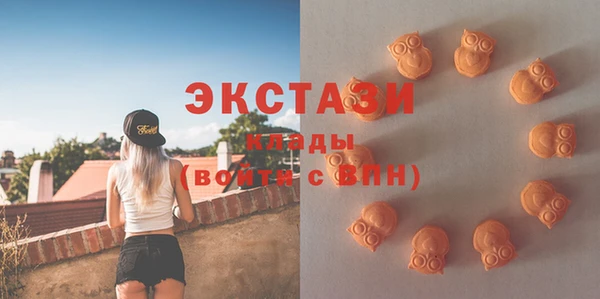 гашик Краснослободск
