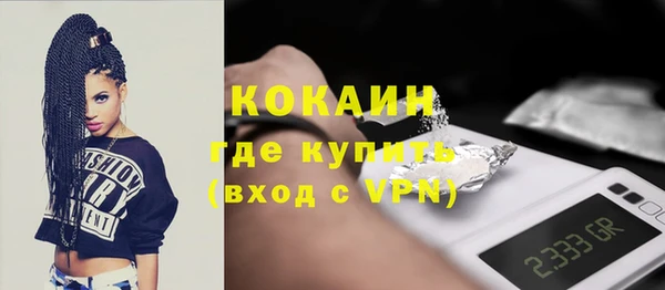 гашик Краснослободск