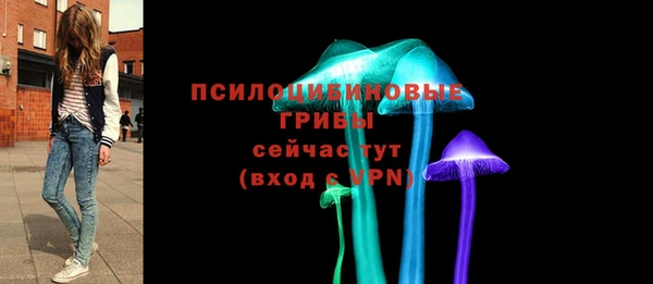 гашик Краснослободск