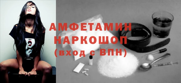 гашик Краснослободск