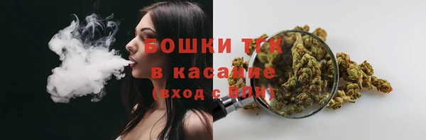 гашик Краснослободск
