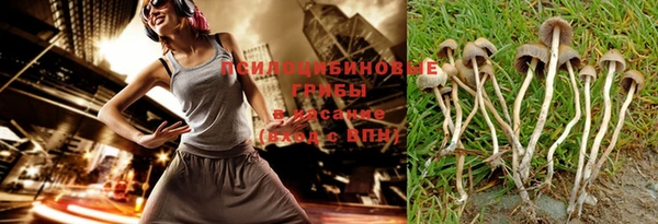 крисы Красноперекопск
