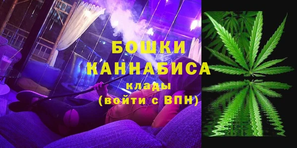 гашик Краснослободск