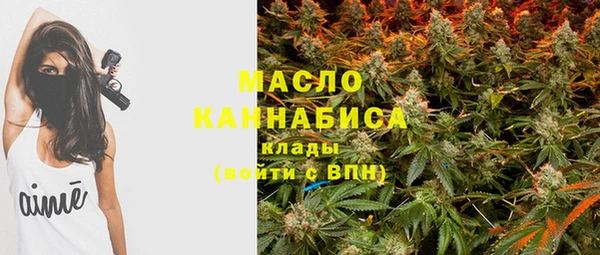 гашик Краснослободск
