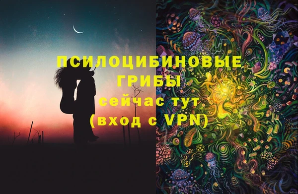 гашик Краснослободск