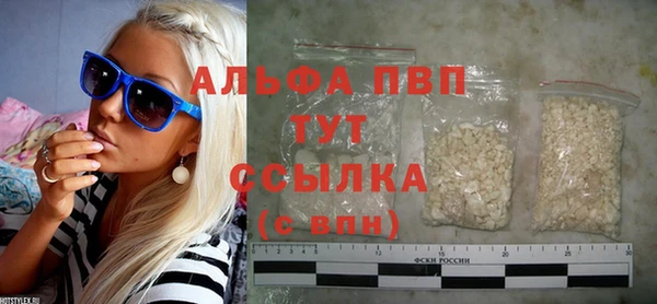 гашик Краснослободск